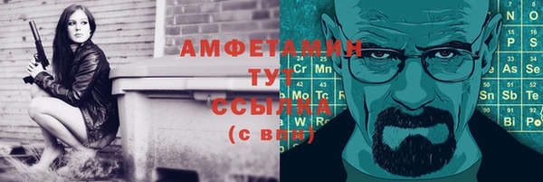 гашик Алексеевка