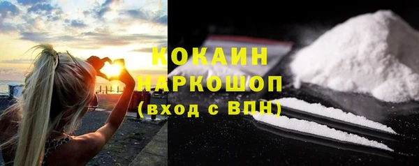 индика Алзамай
