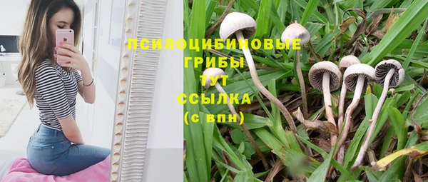 гашик Алексеевка
