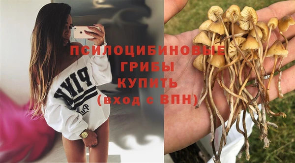 индика Алзамай