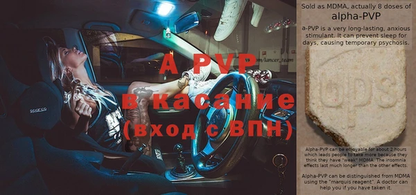 индика Алзамай