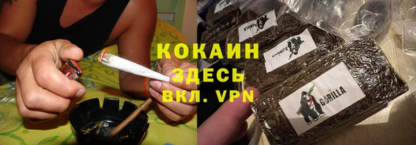 индика Алзамай