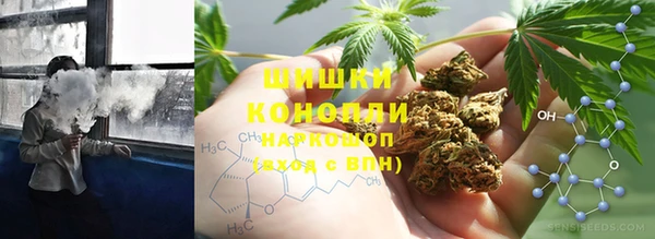 гашик Алексеевка
