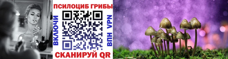 где купить наркотик  Петрозаводск  Псилоцибиновые грибы Magic Shrooms 